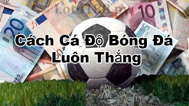 cách cá độ bóng đá thắng